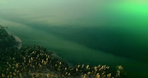 Cinemagraph Loop - Trees on the Lakeshore - motion photo Stock Footage 98711168