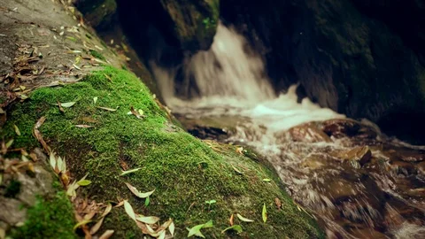 Cinemagraph Loop -Trunk and Closeup Waterfall - motion photo Stock Footage 98754609