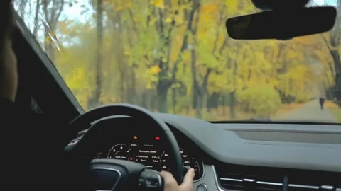 Cinemagraph. Loop video. Live. View of the park from the windshield inside a car Stock Footage 141285099