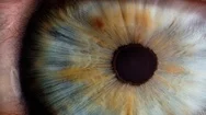 Cinemagraph Macro Of The Human Eye Stock Footage