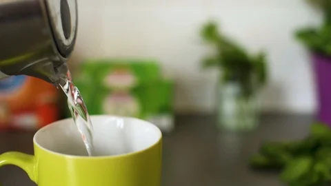Cinemagraph: Making Fresh Mint Tea Stock Footage 109163345