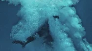 Cinemagraph Of Man Plunging Into Water In Swimming Pool Stock Footage