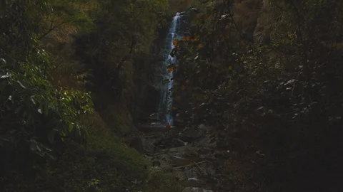 Cinemagraph of man standing in front of beautiful waterfall hidden in forest Stock Footage 87303991