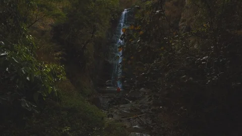 Cinemagraph of man standing in front of beautiful waterfall hidden in forest Video stock 87305067