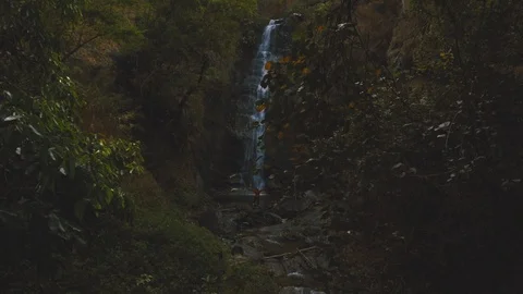 Cinemagraph of man standing in front of beautiful waterfall hidden in forest Stock Footage 87305617