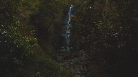 Cinemagraph of man standing in front of beautiful waterfall hidden in forest Stock Footage 87307693