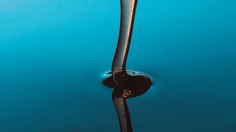 Cinemagraph Miel 스톡 동영상 125997486