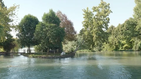 Cinemagraph River Tree Stock Footage 106228530