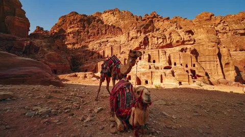 Cinemagraph seamless video loop of two camels in Petra Jordan, next to Stock Footage 176690150