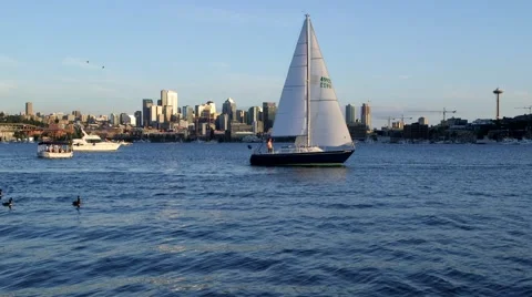 Cinemagraph Seattle Stock-Footage 52327797