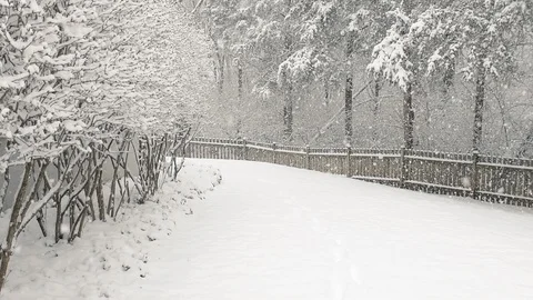 Cinemagraph slow motion of falling winter snow in rural backyard, garden, forest Stock Footage 121103067