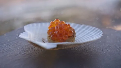 Cinemagraph with a view of the red game in the scallop shell Stock Footage 124522149