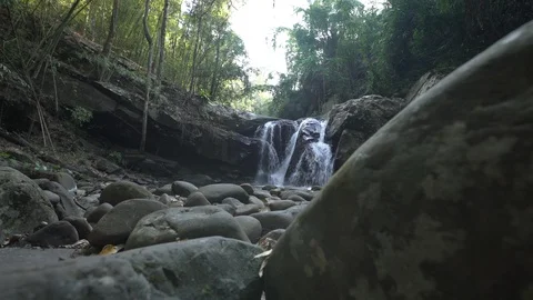 Cinemagraph of waterfall in rainforest with rocks in foreground Stock Footage 87189025