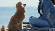 Cinemagraph - Woman With Her Dog At Sandy Sea Beach . Stock Footage