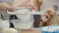 Cinemagraph - Woman  Sifting Flour Through A Sieve For Baking . Stock Footage