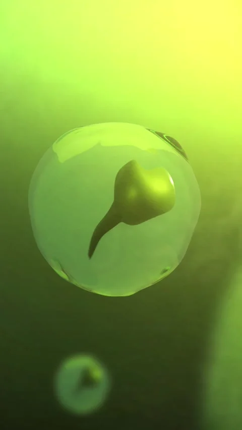Cinematic 3D Tadpole Eggs Floating in Pond Lake or Puddle - Vertical Stock Footage 340933090