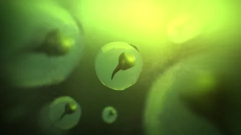 Cinematic 3D Tadpole Eggs Floating in Pond Lake or Puddle Stock Footage 340933107