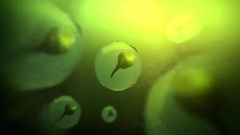 Cinematic 3D Tadpole Eggs Floating in Pond Lake or Puddle0 Stock Illustration