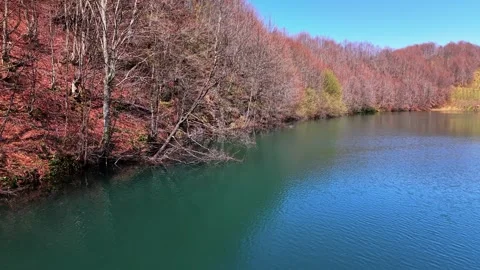 Cinematic 4K Drone Approach Over Turquoise Lake and Bare Autumn Forest Stock Footage 339159994
