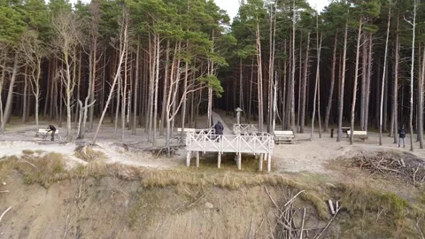 Cinematic 4K Drone View from Ocean to Cliff Edge Stock Footage 323613052
