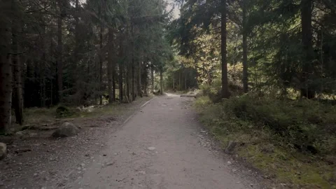 Cinematic 4K Forest Mountain Trail in the Tatra Mountains Stock Footage 321895796
