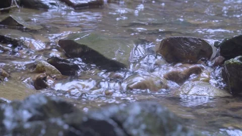 Cinematic 4K Nature: Close-up of Clear Stream Water Flowing Over Rocks Stock Footage 342978146