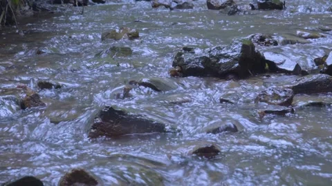 Cinematic 4K Nature: Stream Water Flowing Rapidly Over Rocks and Stones Stock Footage 342978151