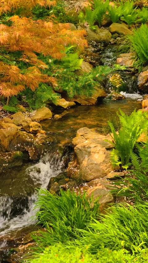 Cinematic 4K vertical B-roll footage slow motion waterfall rocky stream  Stock Footage 307430894