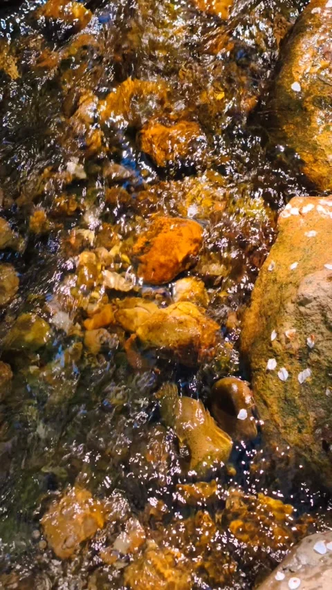 Cinematic 4K vertical B-roll footage: sunlit crystal rocky stream flow. Stock Footage 307431528