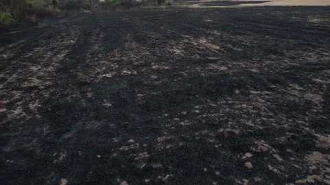 Cinematic 4K video of fire during dry season. Video stock 158901237
