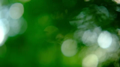 Cinematic abstract summer background, soft green bokeh, blurred tree foliage Stock Footage 340851136