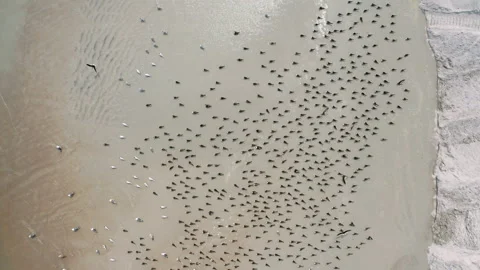 Cinematic aerial of beach waves Stock Footage 141706569
