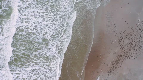 Cinematic aerial of beach waves Stock Footage 141711367