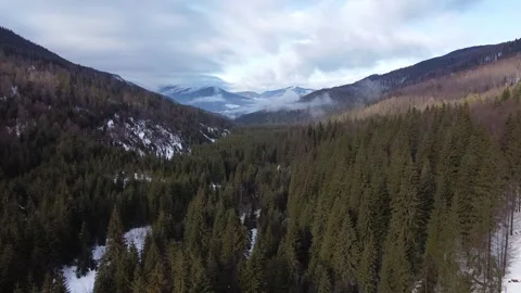 Cinematic Aerial Drone View of Mountain Forest in Winter Landscape Stock Footage 324565741
