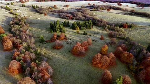 Cinematic Aerial Flight over Rolling Meadows and Forested Areas in Korond, Trans Stock Footage 320935587