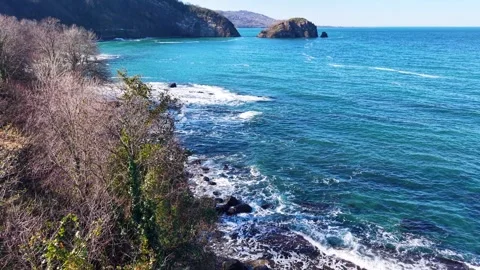 Cinematic Aerial Pullback From Blue Sea Toward Trees, Island and Coastline Video stock 343733558