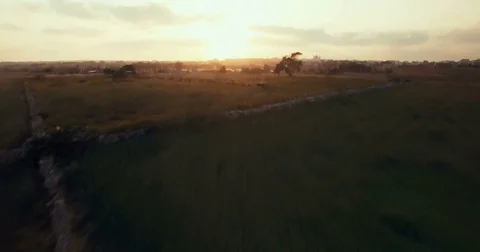Cinematic aerial shot over fields during sunset Stock Footage 75169351