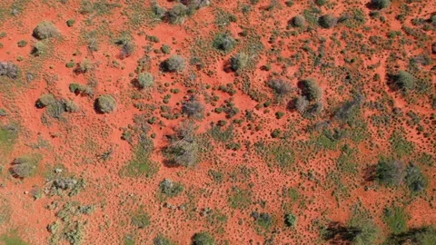 Cinematic aerial top view of a wild desert landscape in the Australian outback Stock Footage
