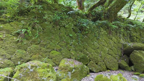 Cinematic aerial tracking shot of hexagonal columns in Izu, Japan Stock Footage 319792722