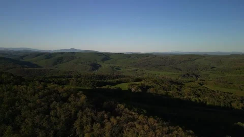 Cinematic Aerial View of Dense Spring Forest in Hills Stock Footage 308157082