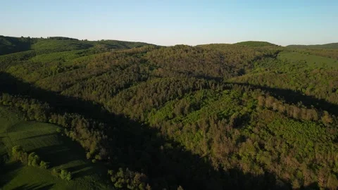 Cinematic Aerial View of Dense Spring Forest in Hills Stock Footage 308182086
