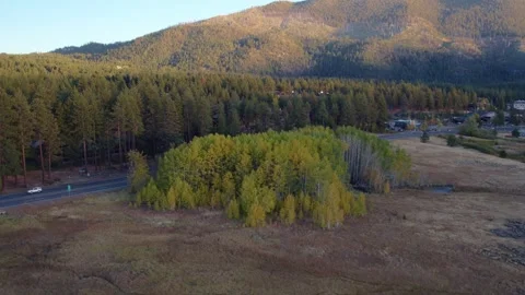 Cinematic Aerial View of Fall Foliage Patch in Open Field with Mountain Backdrop Stock Footage 334695543