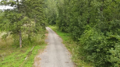 Cinematic aerial view of a forest road Stock Footage 337470548