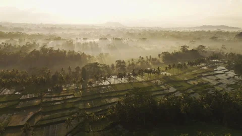 Cinematic Aerial View of Mancingan Rice Terraces Ubud Bali Indonesia 스톡 동영상 340155754