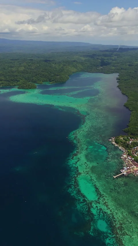 Cinematic aerial view of the pristine coastline on Banggai Island Stock-Footage 336400907