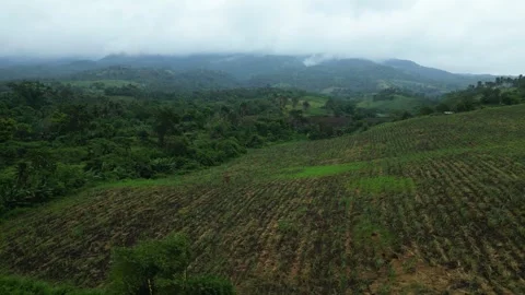 Cinematic aerial view of rice fields and rural farms around San Jose, Ocampo 動画素材 345970069