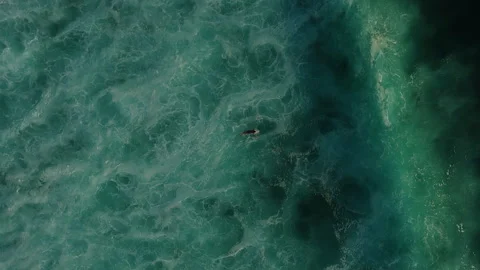 Cinematic Aerial View Surfer Floating in Water Uluwatu Bali Indonesia Vidéo 340919953
