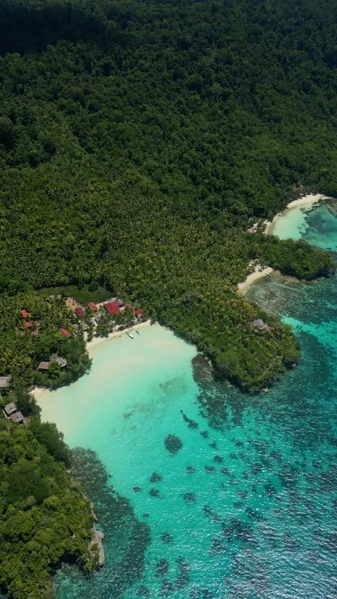 Cinematic Aerial View of Togian Islands Coastline Sulawesi Indonesia Video stock 338202953