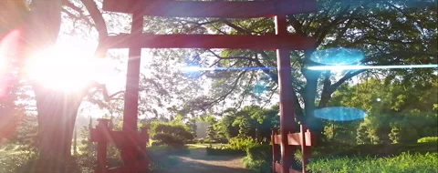 Cinematic-anamorphic scene of intense sunlight glare on a japanese garden Stock Footage 147061522