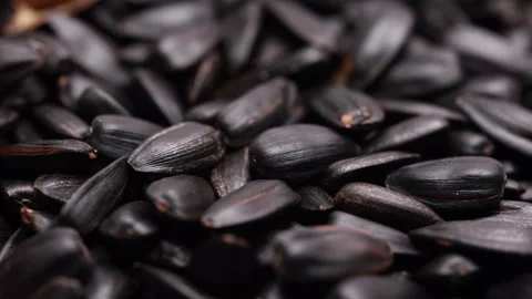 Cinematic arc shot over black sunflower seeds macro Stock-Footage 334710537